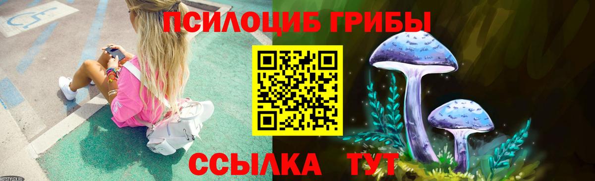 Зима  Галлюциногенные грибы мухоморы  Галлюциногенные грибы GOLDEN TEACHER  Вход с VPN 